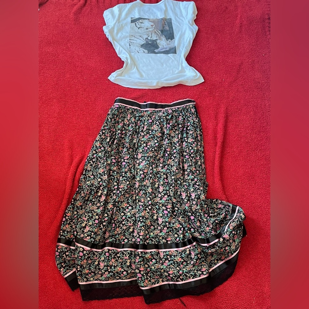 Hoop skirt with vintage graphics of hummingbird and flowers